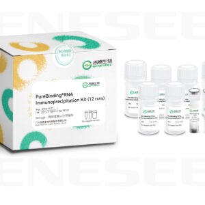purebinding® chromatin immunoprecipitation kit