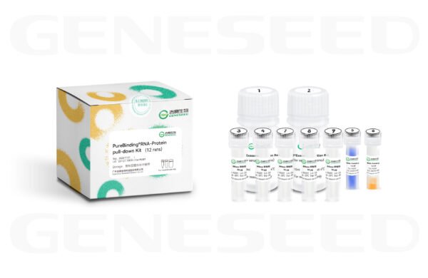 purebinding® rna immunoprecipitation kit