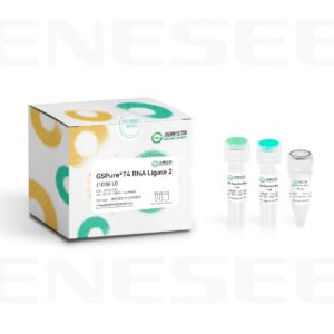 gspure® t4 rna ligase 2