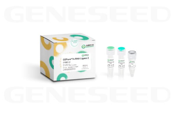 gspure® t4 rna ligase 2
