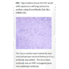 ai80013a ihc large 2.png