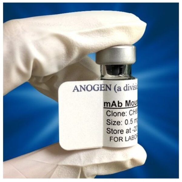 anogen 1.jpg