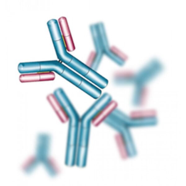 biotec3 21 1.jpg