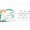 geneseed® circrna qrt pcr kit