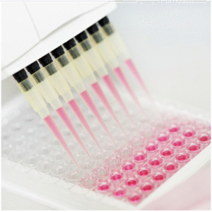 elisa kit 1 5 1 1 1 1 1 1 1 1 1 1 2.png