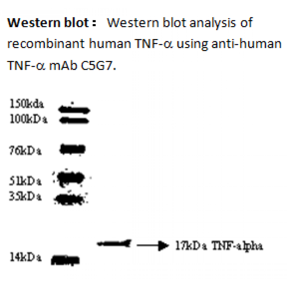 mo c40003g wb large .png mo c40003g wb large .png