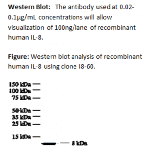 mo c40017d wb large .png