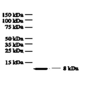 mo c40017e wb 2.png