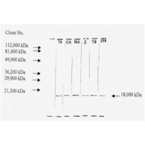 mo c40046a wb 2.png