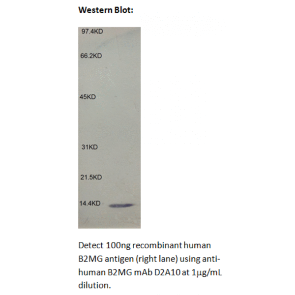 mo m40021e wb large 3.png
