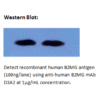 mo m40021f wb large 2.png