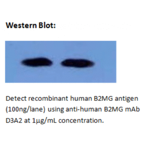 mo m40021f wb large 2.png