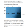 mo m40039 wb2 large .png