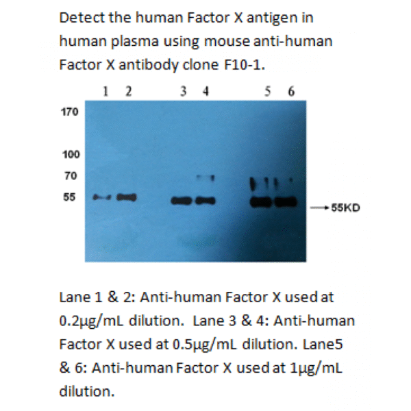 mo m40039 wb2 large .png