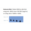 mo m40093a wb large .png
