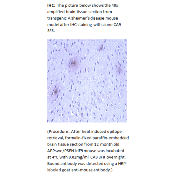 mo m40093d ihc large 2.png
