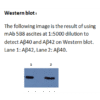 mo m40094d wb large .png