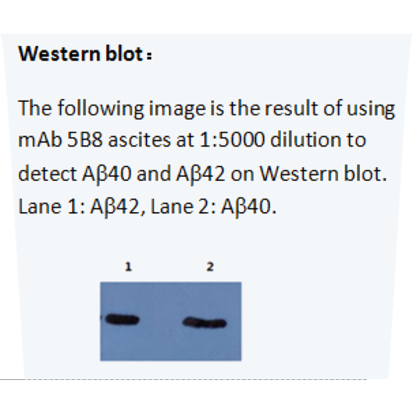 mo m40094d wb large .png