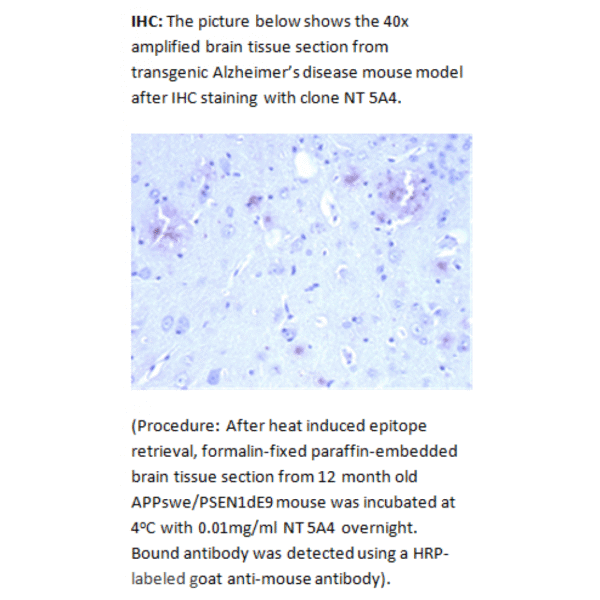 mo m40094g ihc large 3.png