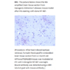 mo m40094h ihc large 3.png