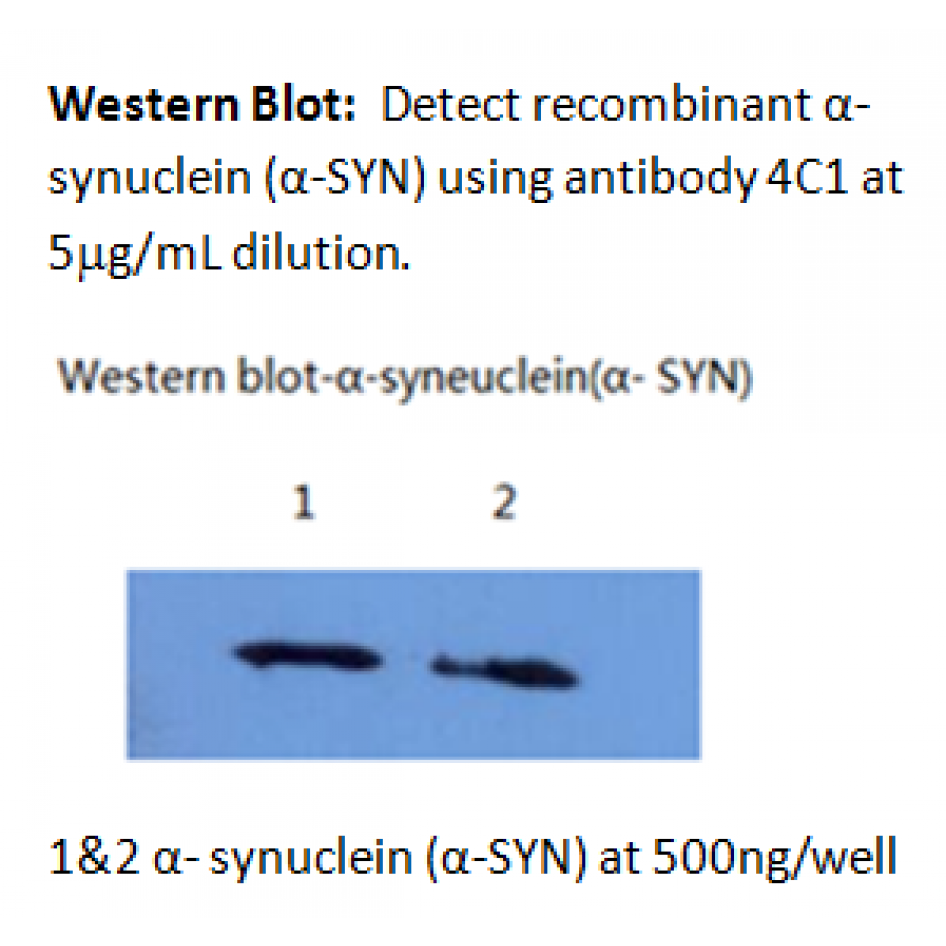 mo m40097b wb large .png mo m40097b wb large .png