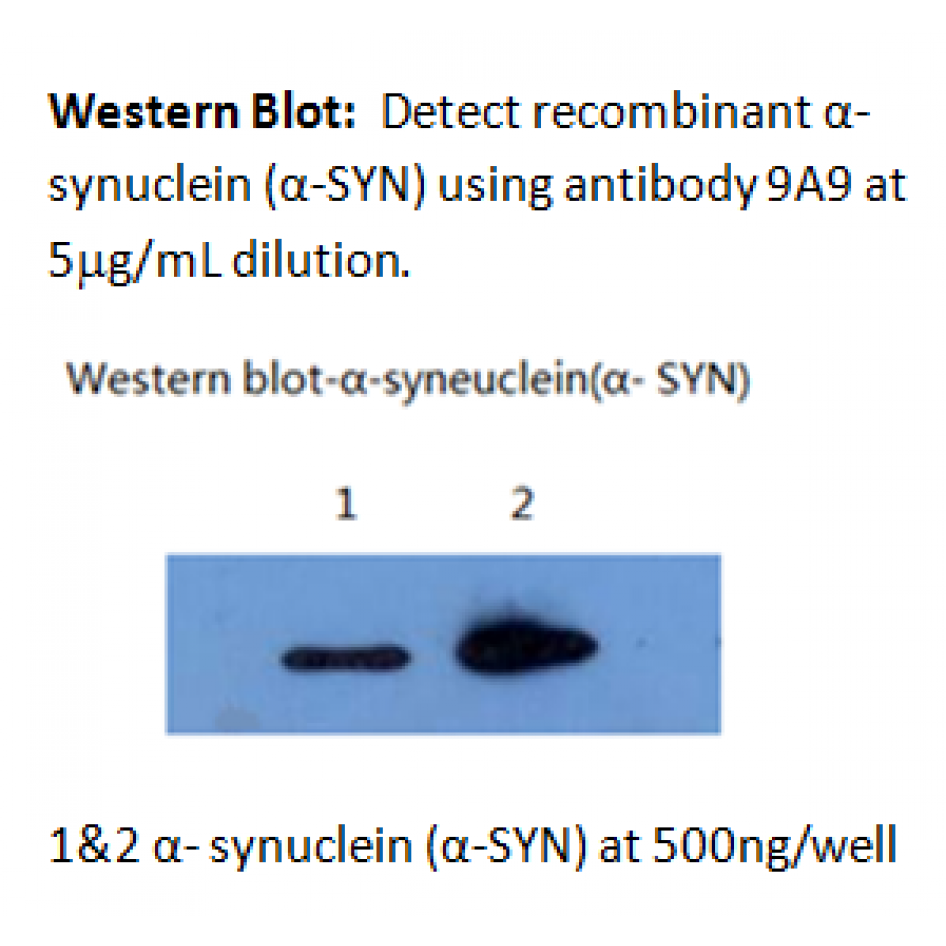 mo m40097e wb large .png mo m40097e wb large .png