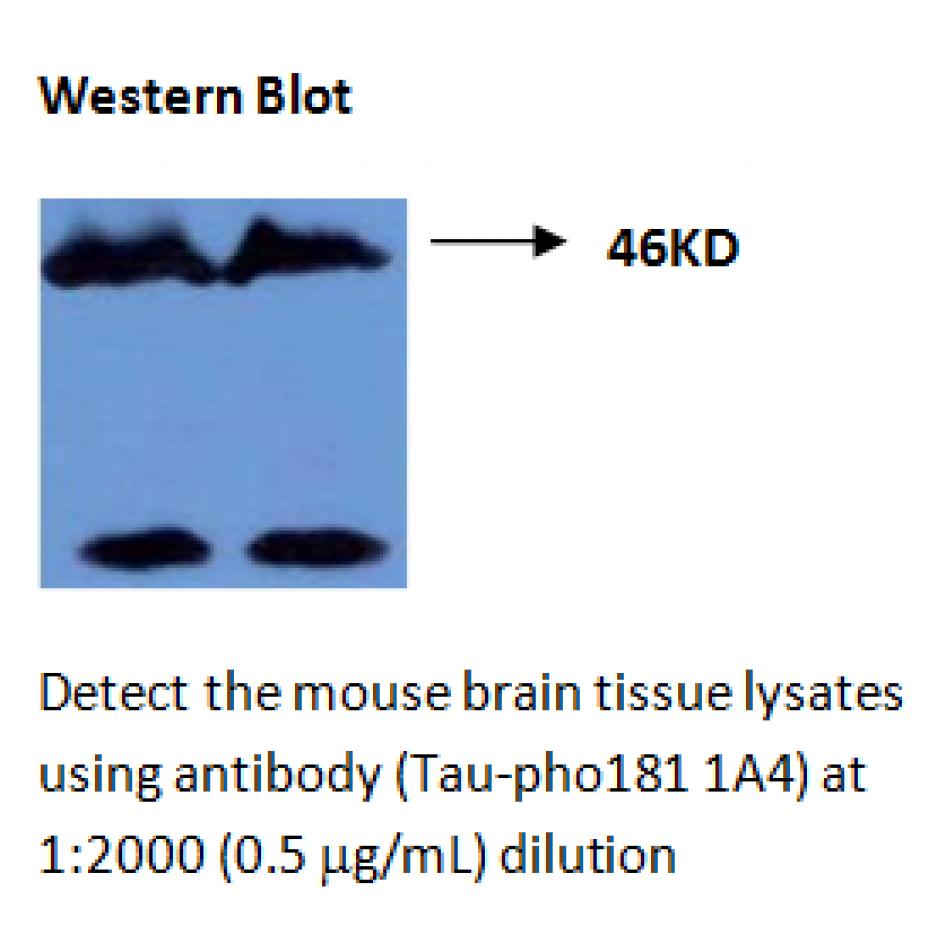 mo m40099a wb large .png mo m40099a wb large .png