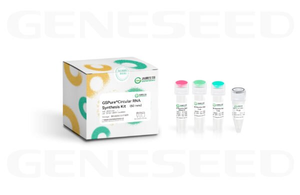 gspure® circular rna synthesis kit
